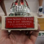 Turnir 6. kategorije