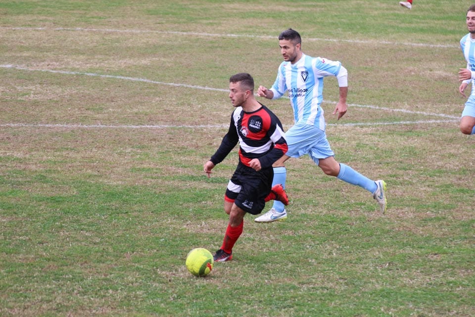 1. Al: Vesna - Primorec