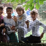 Orienteering 2018