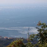 stojnica SK Brdina