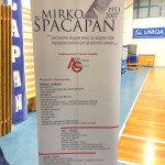 Memorial Mirka Špacapana