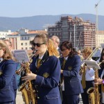 stojnica ZSŠDI