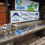Orienteering 2018