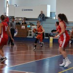 Polet - Concordia