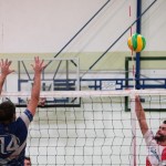 C-liga:Triestina Volley – Sloga Tabor Televita