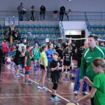Minivolley