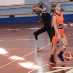 Polet - Concordia