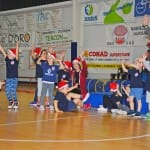 Božičnica Sokol