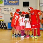 Božičnica Sokol