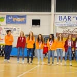 Božičnica Sokol