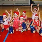 Božičnica Sokol