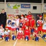 Božičnica Sokol