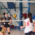 Zalet Barich - Grado