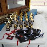 Pokal ZSŠDI