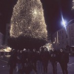 odbojka Zalet: priprave v Postojni