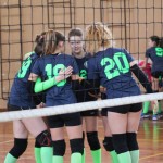 Opčine; nedelja, 27.1.2019 (10.30)Poggivolley - Mavrica Arcoba