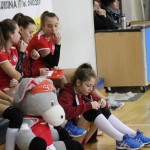 Sokol - Mavrica Arcobaleno