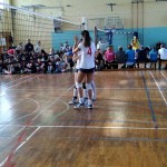 odbojka Zalet: priprave v Postojni