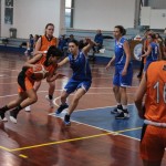 14. krog; Briščiki; nedelja, 17.2.2019 (17.30)
Polet  - Monfal