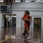 14. krog; Briščiki; nedelja, 17.2.2019 (17.30)
Polet  - Monfal