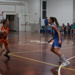 14. krog; Briščiki; nedelja, 17.2.2019 (17.30)
Polet  - Monfal