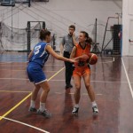 14. krog; Briščiki; nedelja, 17.2.2019 (17.30)
Polet  - Monfal