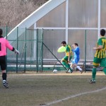 22. krog; Padriče; nedelja, 24.2.2019 (15.00)
Gaja  - Sovodnje