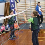 Skokičin vrtiljak v Gorici