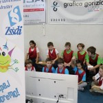 Skokičin vrtiljak v Gorici