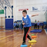 Skokičin vrtiljak v Gorici