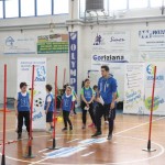 Skokičin vrtiljak v Gorici