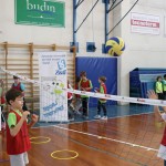 Skokičin vrtiljak v Gorici