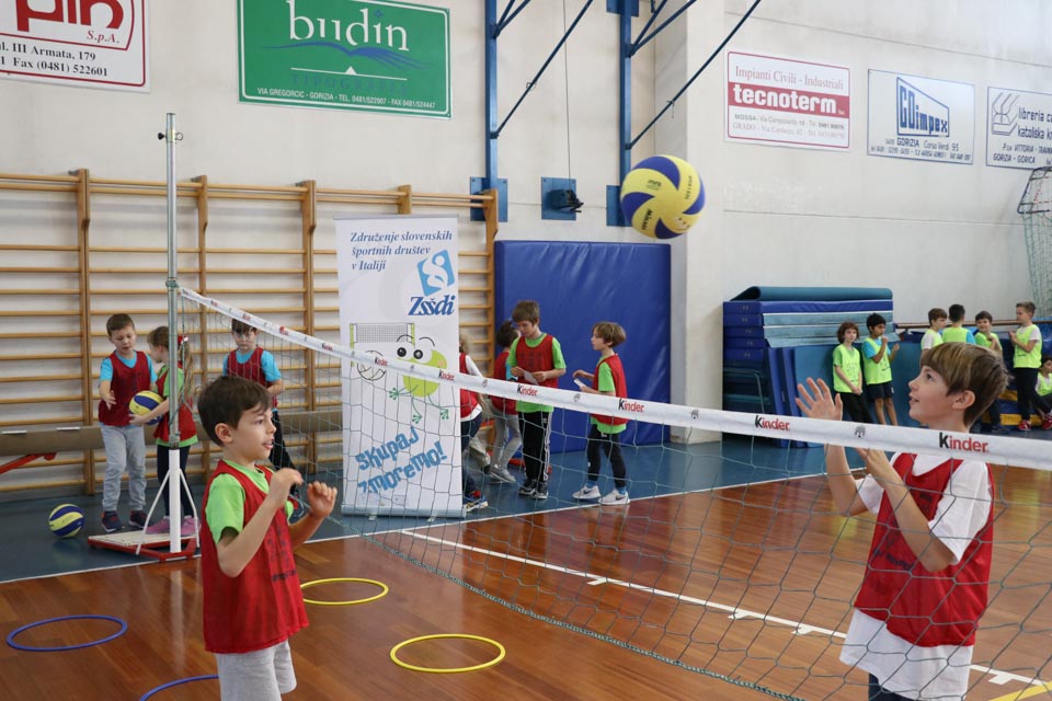 Skokičin vrtiljak v Gorici