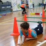 Skokičin vrtiljak v Gorici