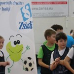 Skokičin vrtiljak v Gorici