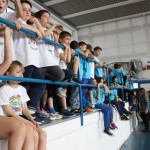 Skokičin vrtiljak v Gorici