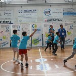 Skokičin vrtiljak v Gorici