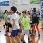 Skokičin vrtiljak v Gorici