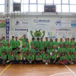 Skokičin vrtiljak v Gorici