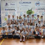 Skokičin vrtiljak v Gorici