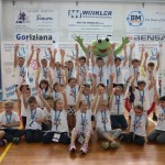 Skokičin vrtiljak v Gorici