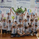 Skokičin vrtiljak v Gorici