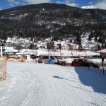 Skokica smuča