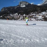 Skokica smuča