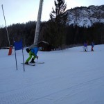 Skokica smuča