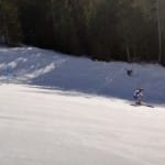 Veleslalomski FISI tekmi; Trofeja ZKB in Trofeja Mladina ZSŠDI