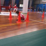 ZSŠDI, Skokičin vrtiljak: tokrat za osnovne šole pri Sv. Ivan