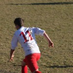 1. Al: Primorec - Domio 3:1