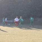 1. Al: Primorec - Domio 3:1