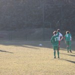 1. Al: Primorec - Domio 3:1